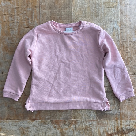 Zara Other - NWT Zara girls sweatshirt 3-4 years